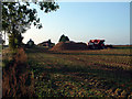 The turnip harvest at Council Farm