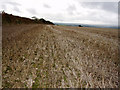 Field in winter