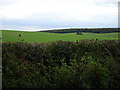 TL0315 : View from lane towards Gravelpit Wood over farmland by Robin Hall
