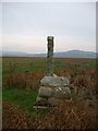 NX4355 : Martyr's Stake, Wigtown by Kirsty Smith