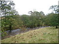 Hermitage Water, near confluence with Whitrop Burn