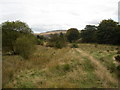 Valley floor above Tunnel End Reservoir, Marsden, looking east