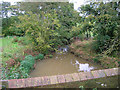 Bevern Stream at Bevern Bridge