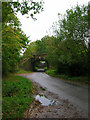 Railway Bridge, Beechwood Lane