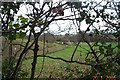 Tudeley Brook near King