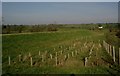 Flood prevention levees near Hurleford