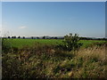 Farmland near Birstall, Leicester