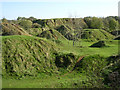 ST4716 : Old quarry spoil heaps at Ham Hill Country Park by Jim Champion