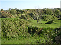 ST4716 : Old quarry spoil heaps at Ham Hill Country Park by Jim Champion