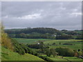 Tarff valley with woods above Fellend in distance