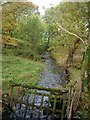 Upstream, Spout Burn and Larks Plantation