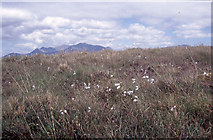 V6881 : Coomnacarraig; blanket bog with bog cotton. by Dr Charles Nelson