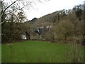 Canal Bridge, Beam