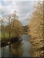 River Torridge at New Bridge