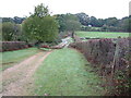 Bridleway, Dorridge Hill area, New Forest