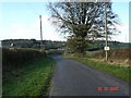 Country lane at Babell