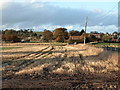 Tayport from the South