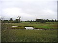 The Lodge and wildfowl ponds, Ramsholt, Suffolk