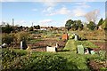 SU4722 : Allotments off Hill Lane, Colden Common by Peter Facey