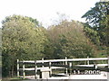 Field behind Veterinary Hospital, Frost Lane, Hythe, Hants