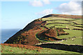 Combe Martin: South West Coast Path to Great Hangman