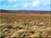 SE0039 : Keighley Moor by David Spencer