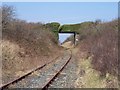 SH4181 : Bridge over disused railway, Anglesey by Ralph Rawlinson