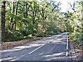 Coopers Lane Road looking west from entrance to Oshwal Centre