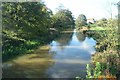 River Roding at Passingford Bridge