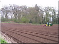 Spring Sowing