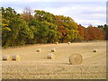 Autumn Colours at Ballathie