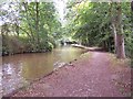 SJ4133 : Llangollen Canal near Blake Mere by Chris Heaton