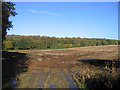 Warren Lane, Clophill, Beds