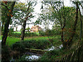 Pond, Spring Lane, Clayton