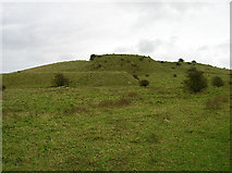 TQ2813 : Iron Age earthworks, Wolstonbury Hill by Simon Carey