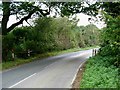 Footpath off the Downham Rd