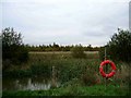 TQ7196 : Pond in Ramsden Heath by Glyn Baker