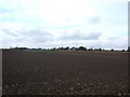 Farmland near Overtown.