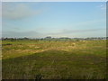 fields looking north from behind the Masons Arms, Rennington