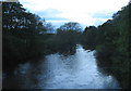 The River Wear from Shincliffe Bridge looking south