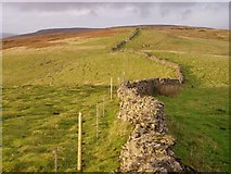 SD8668 : Old and new field boundaries on Fountains Fell by David Gruar