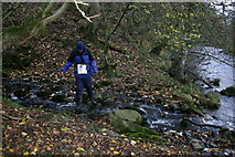 NY9439 : Footpath by the Rookhope Burn by Uncredited