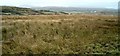 Moorland near Ballimartin, Isle of Islay