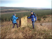 NZ0328 : Millennium Stone, Hamsterley Forest by Uncredited