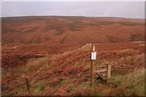 SD9820 : Open access land, Turvin Clough by Mark Anderson