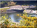 Canoe weirs at Millennium Park