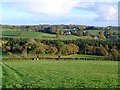 Countryside west of West Ogwell