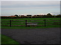 Field and new housing