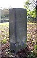 Guide Stone, Rastrick