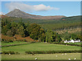 Goatfell from near Glenrosa farm